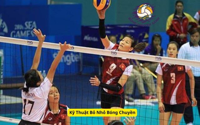 Kỹ Thuật Bỏ Nhỏ Bóng Chuyền