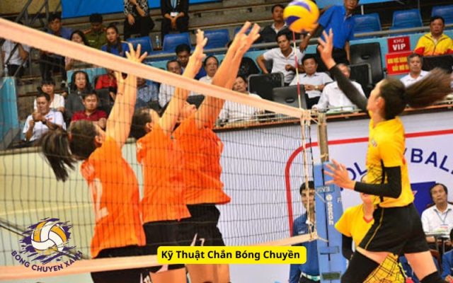 Kỹ Thuật Chắn Bóng Chuyền