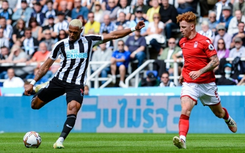 Dự Đoán Newcastle - Burnley: Chủ nhà áp đảo, Newcastle dễ dàng giành chiến thắng