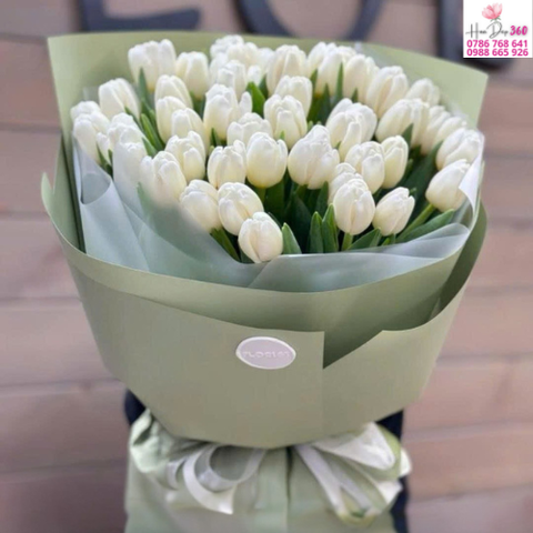 bó hoa tulip