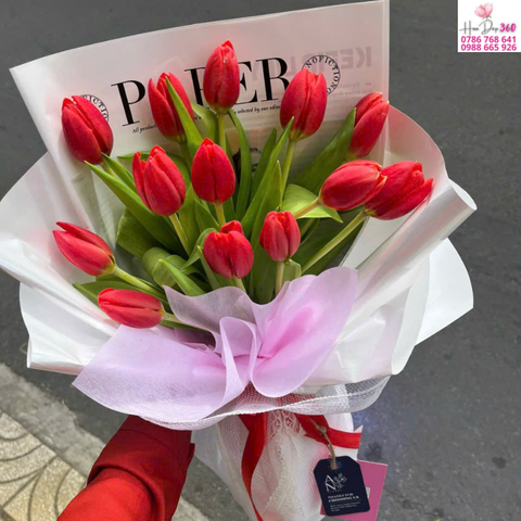 bó hoa tulip